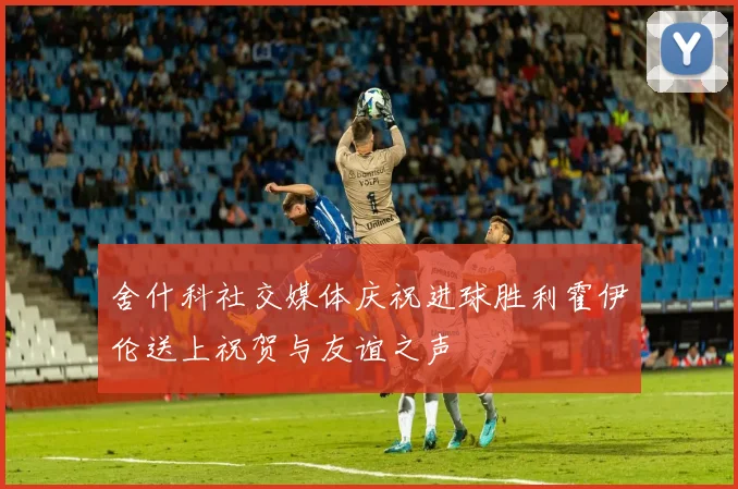 舍什科社交媒体庆祝进球胜利霍伊伦送上祝贺与友谊之声