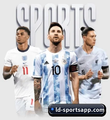 五大服务分区,信息按项目分类（LDSPORTS）