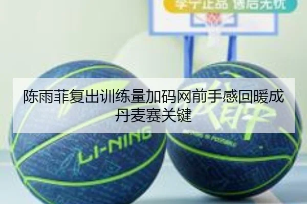 陈雨菲复出训练量加码网前手感回暖成丹麦赛关键（LDSPORTS）